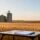 Trading Wheat and Agricultural CFDs from Australia: A Beginner's Guide