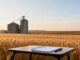 Trading Wheat and Agricultural CFDs from Australia: A Beginner's Guide